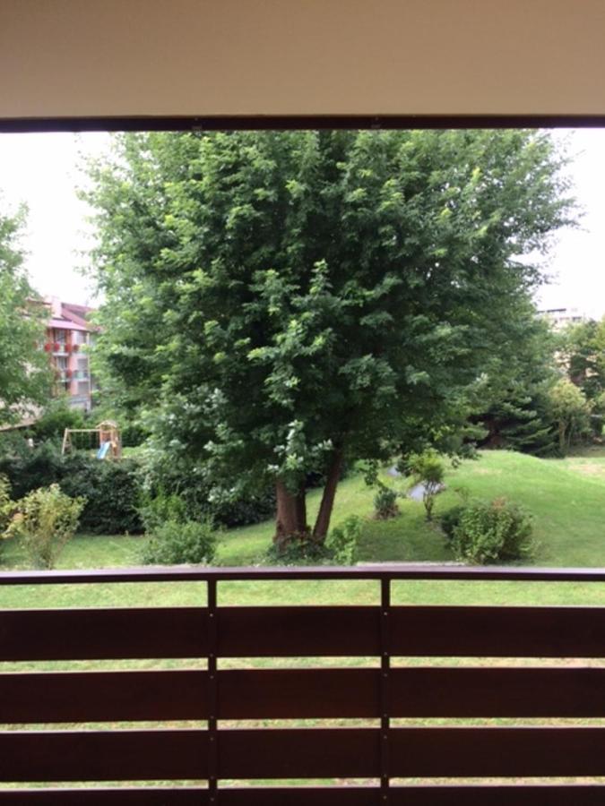 Appartements am Park Bad Krozingen Bagian luar foto